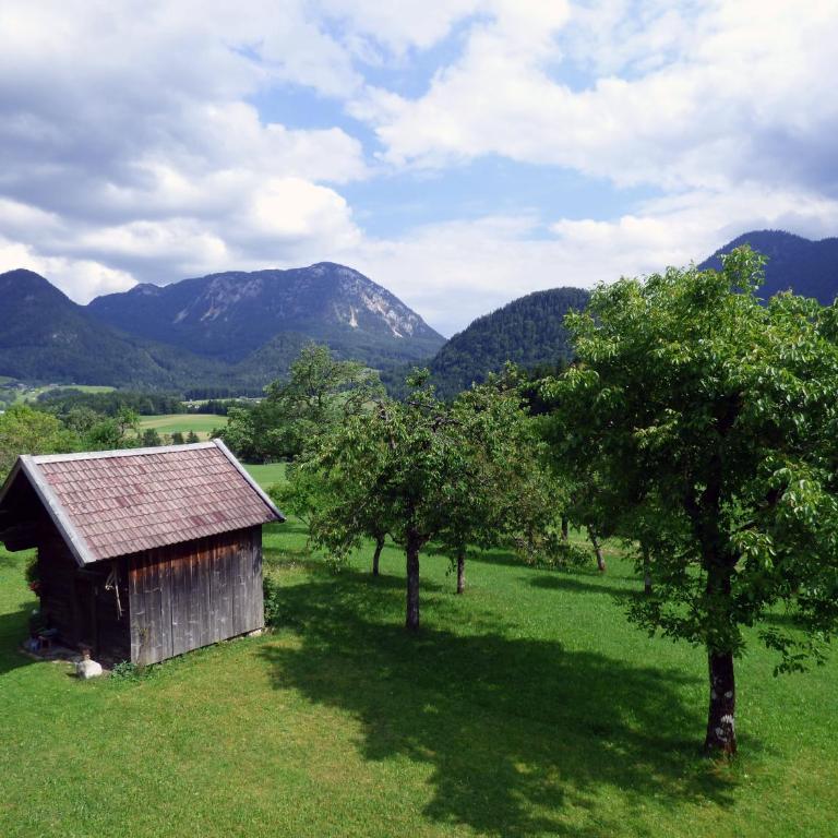 Ferienhaus Pucher - Chalet - 8