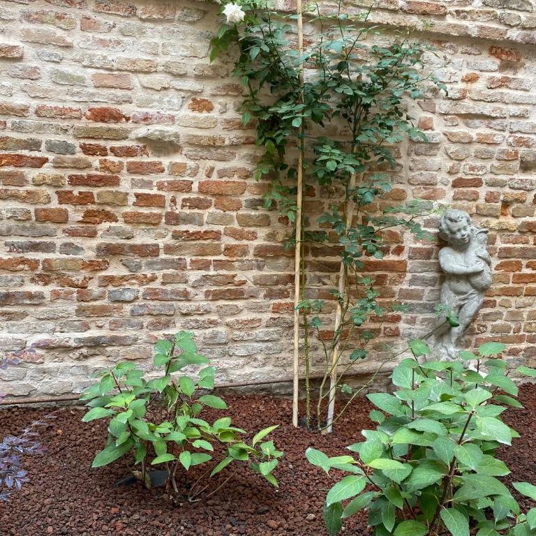 Ca' del Pittor Apartments - Appartamento con 1 Camera da Letto - 11