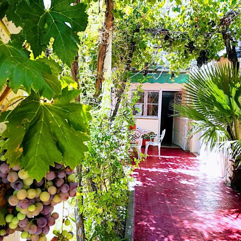 Casa Las Parras - Vacation Home - 20