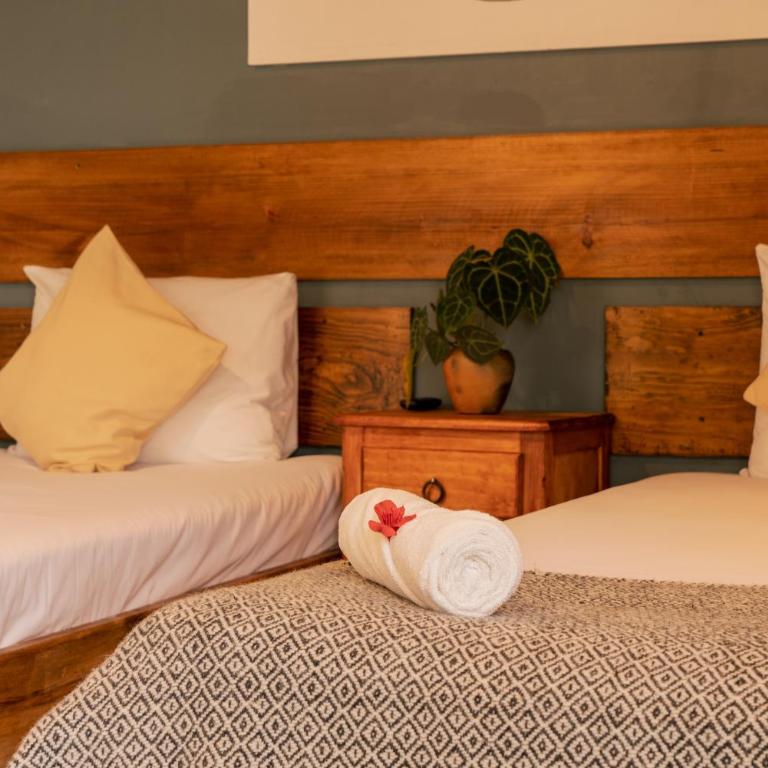 Hospedaje Boutique Paz Creativa - Quadruple Room with Private Bathroom - 12