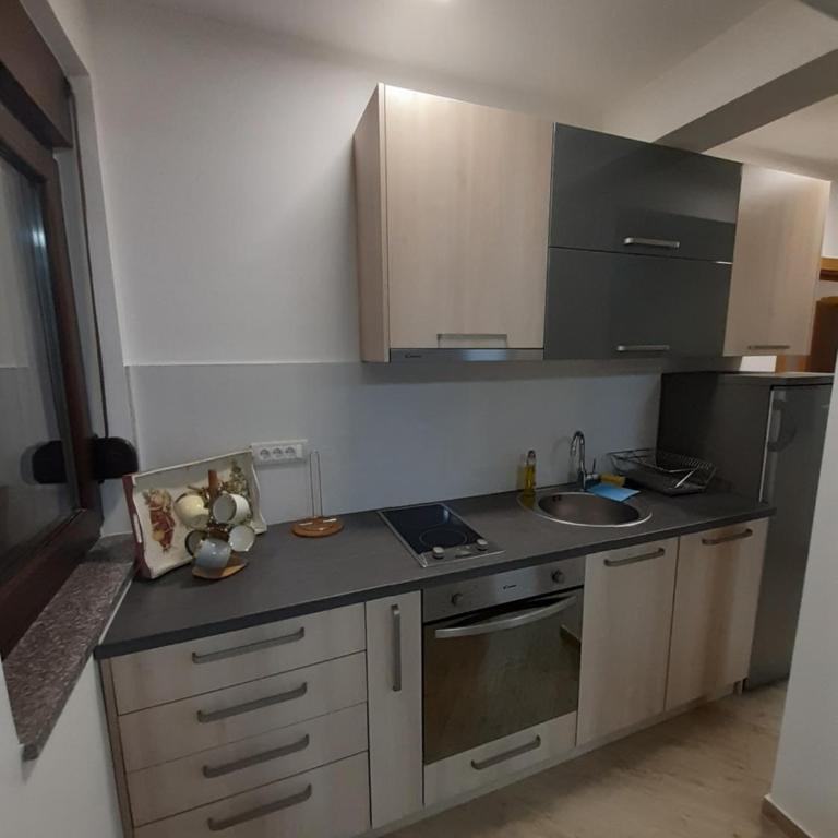 Lovac apartmani - Apartman - Prizemlje - 6