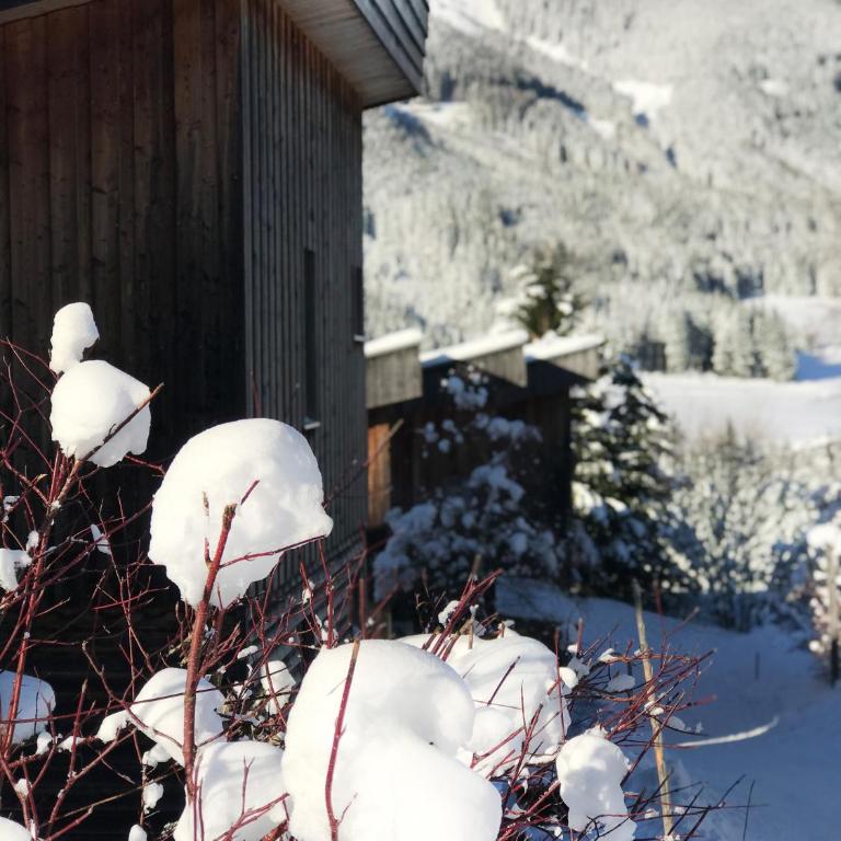 Ferienhaus Sternwarte - Chalet - 42