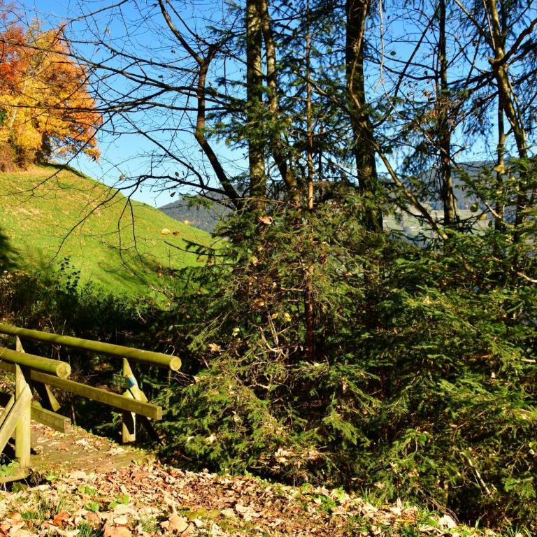 Ferienwohnung Staudach, Apartment - Three-Bedroom Chalet - 32