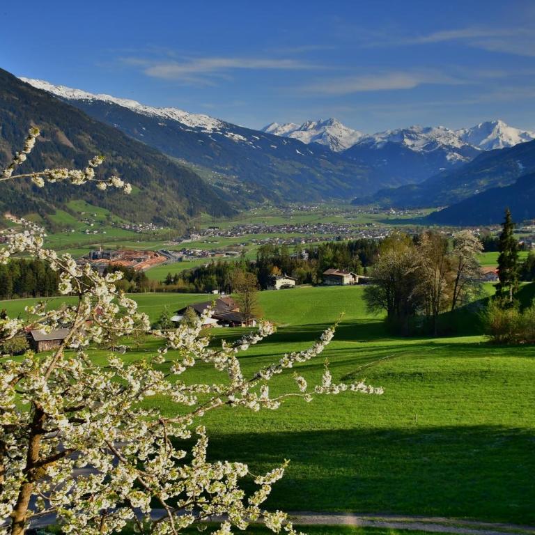 Ferienwohnung Staudach, Apartment - Three-Bedroom Chalet - 39