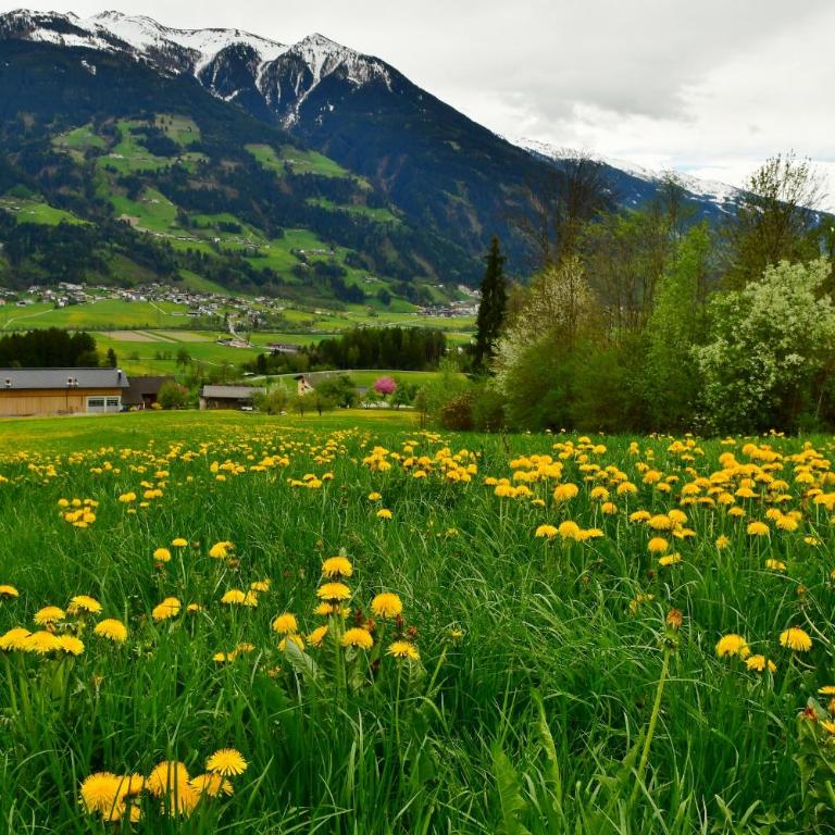 Ferienwohnung Staudach, Apartment - Three-Bedroom Chalet - 61
