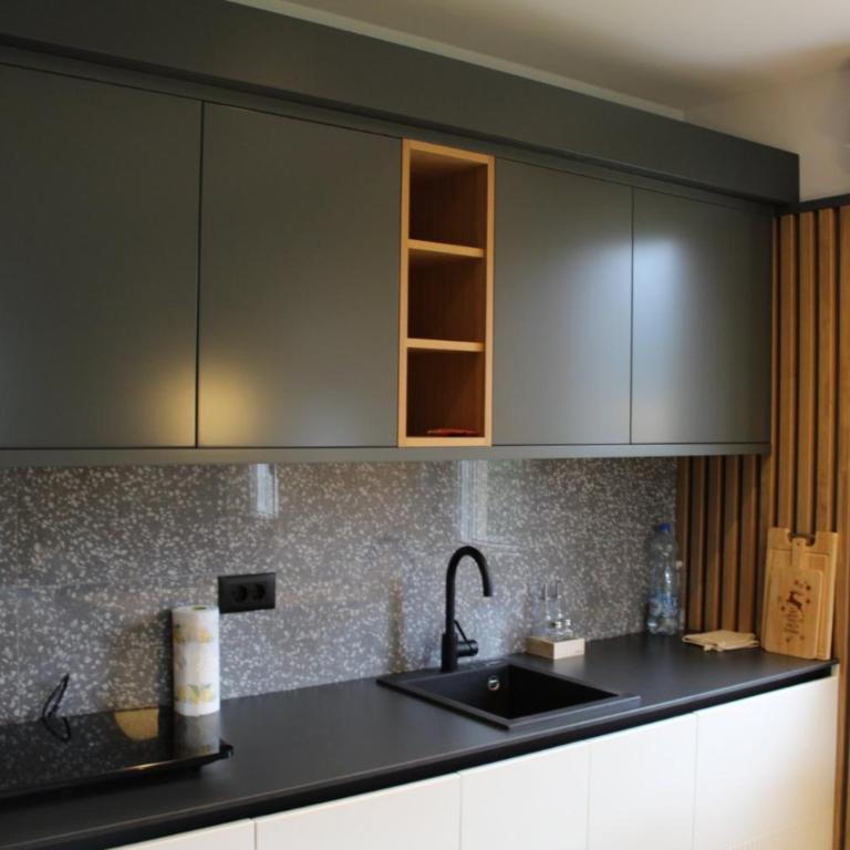 Modern Mountain - Apartment Najomi - Apartman sa 1 Spavaćom Sobom - 14