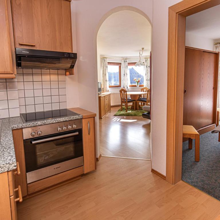 Haus Farmer - Large One-Bedroom Apartment with Balcony - 1