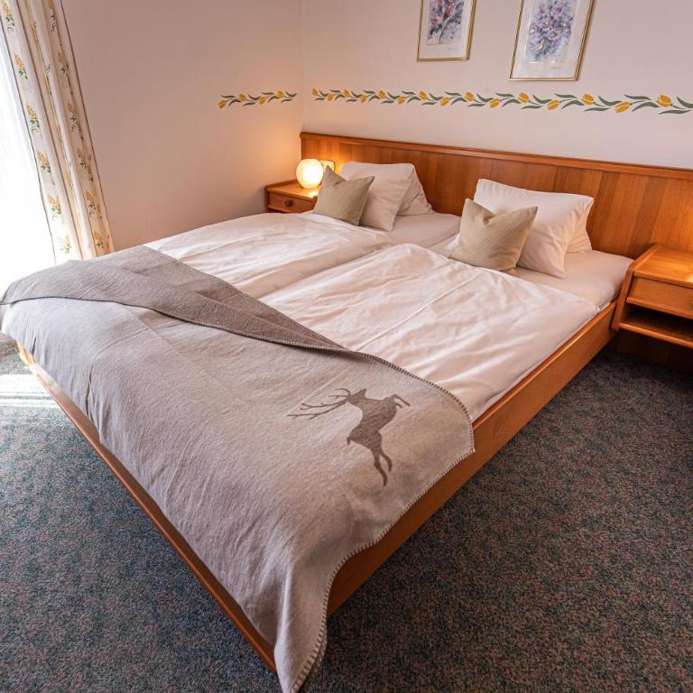 Haus Farmer - Large One-Bedroom Apartment with Balcony - 2
