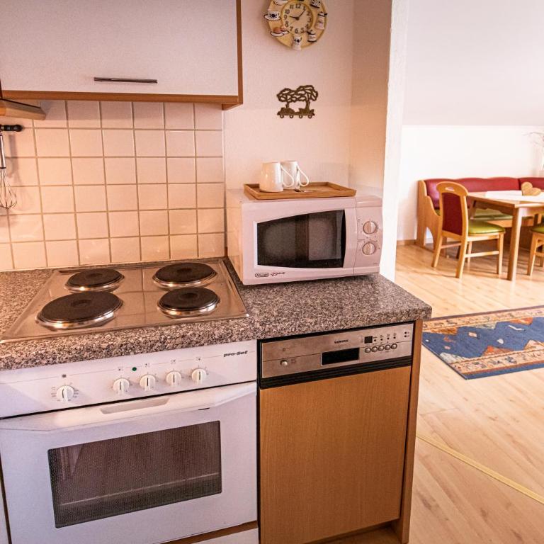 Haus Farmer - Large One-Bedroom Apartment with Balcony - 11