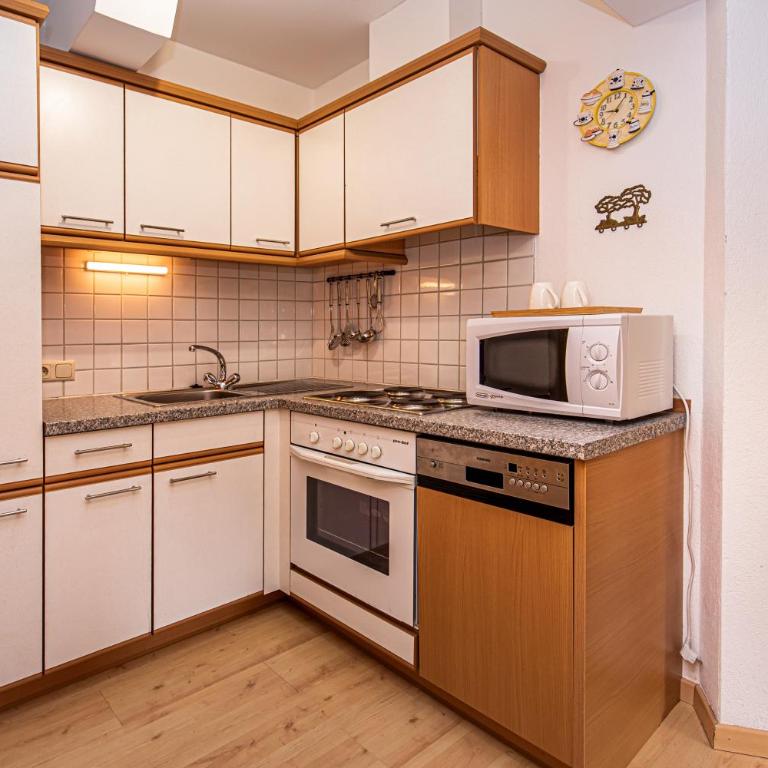 Haus Farmer - Large One-Bedroom Apartment with Balcony - 13
