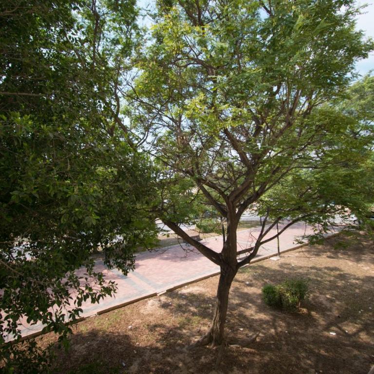 113 Beach and Trees - Alicante Holiday - Apartamento con balcón - 18