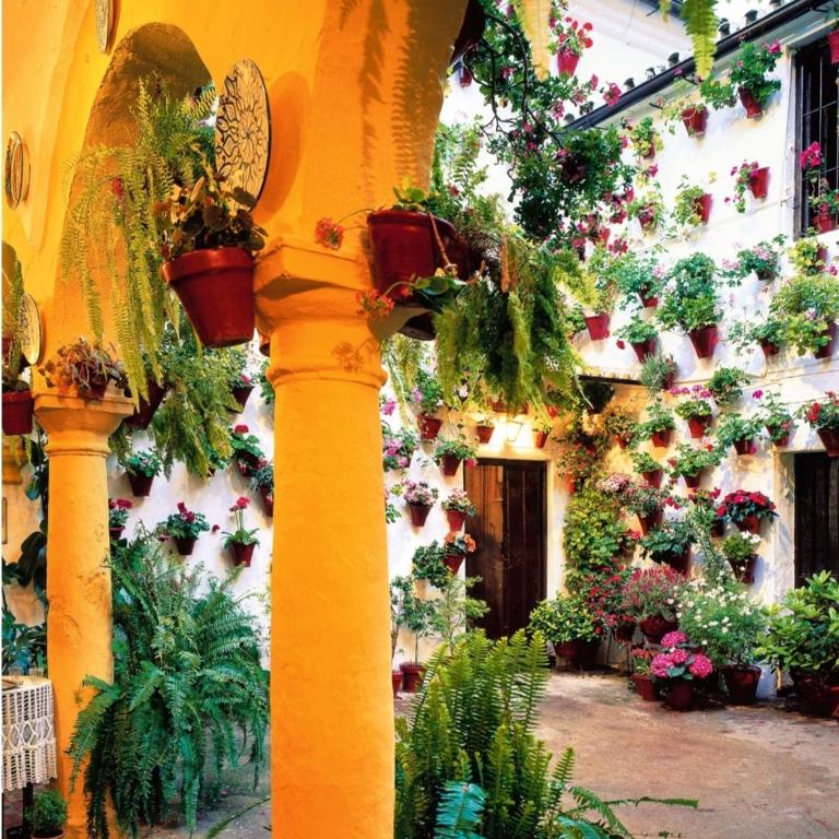 La terraza del Puente y Mezqt-Catedral - Two-Bedroom Apartment - 26
