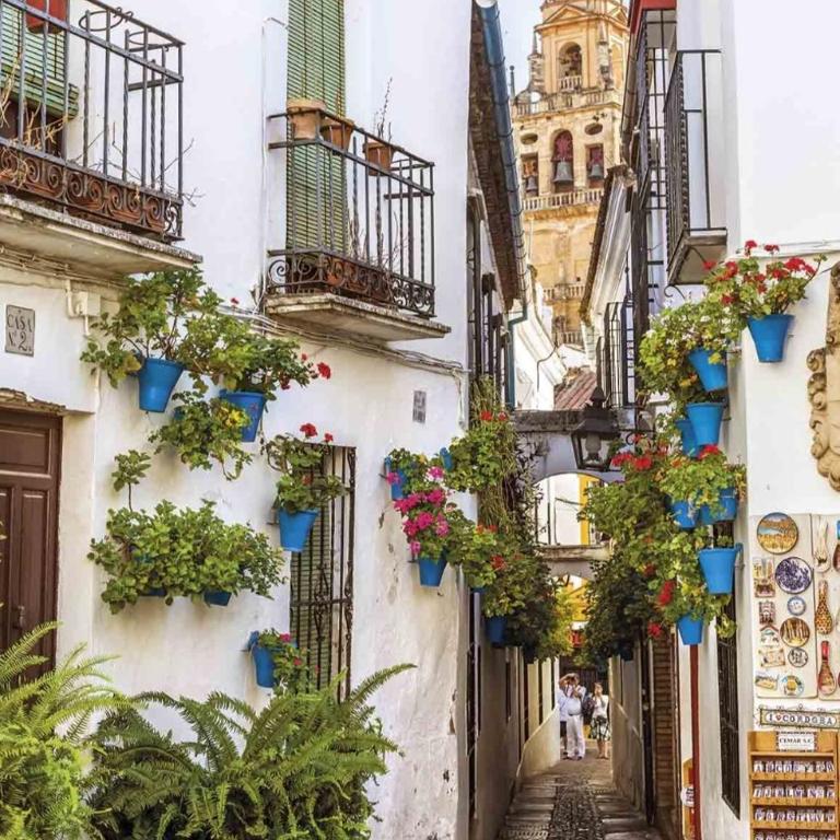La terraza del Puente y Mezqt-Catedral - Two-Bedroom Apartment - 27