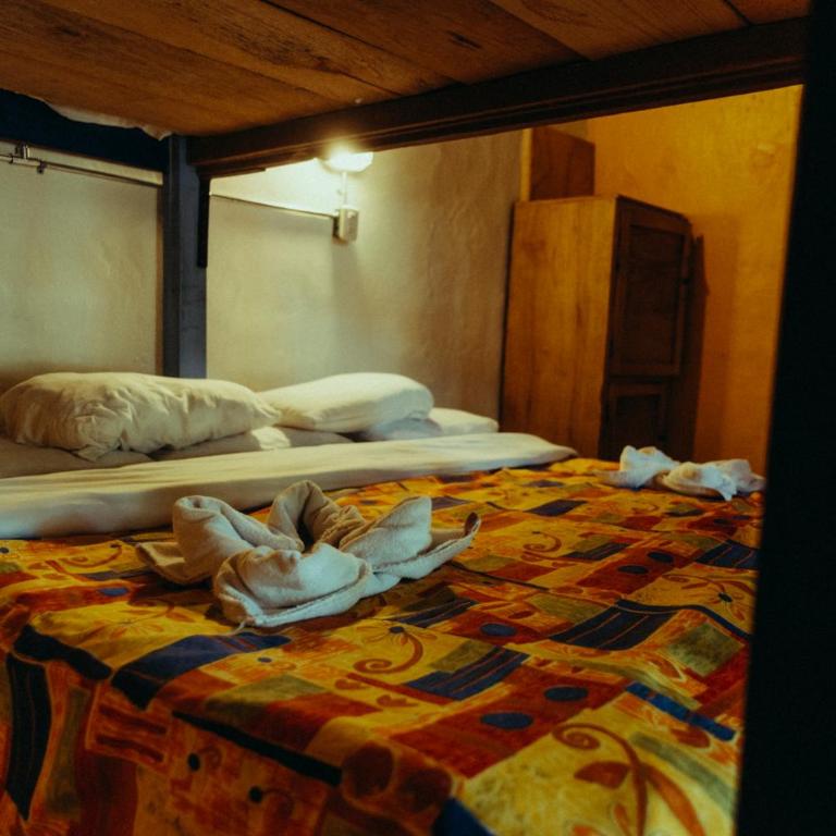 Rossco Hostel & Hotel - Economy Twin Room with Shared Bathroom - 11