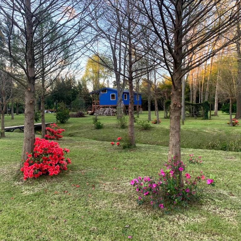 CARPINCHO AMARILLO - Casa de 2 dormitorios - 5