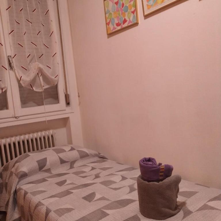 Appartamento Intero Bilocale Vicino all'ospedale e al centro storico Park free - Appartamento - 36