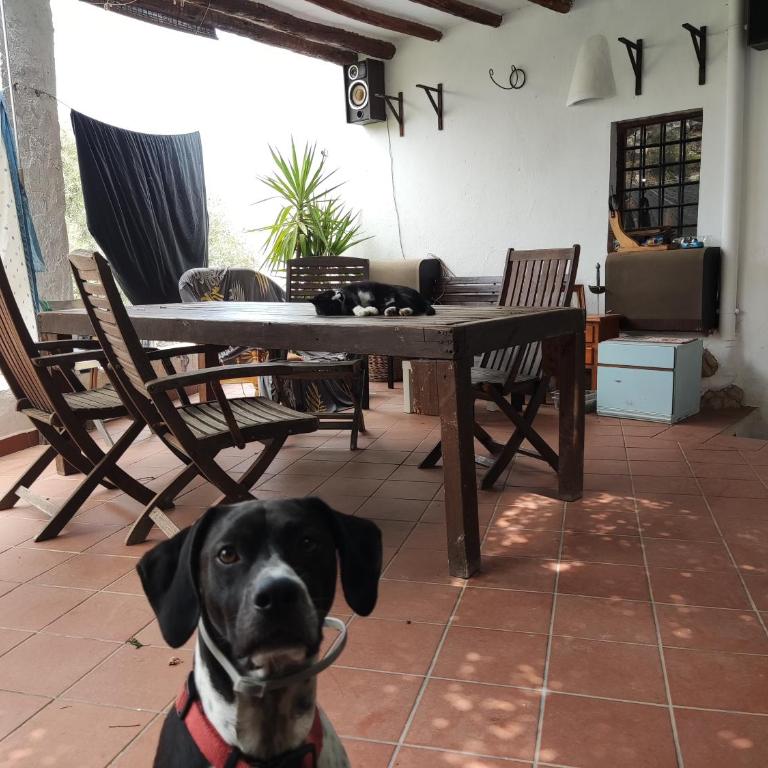 Casa Rural La Fuensanta - Estudio con terraza - 6