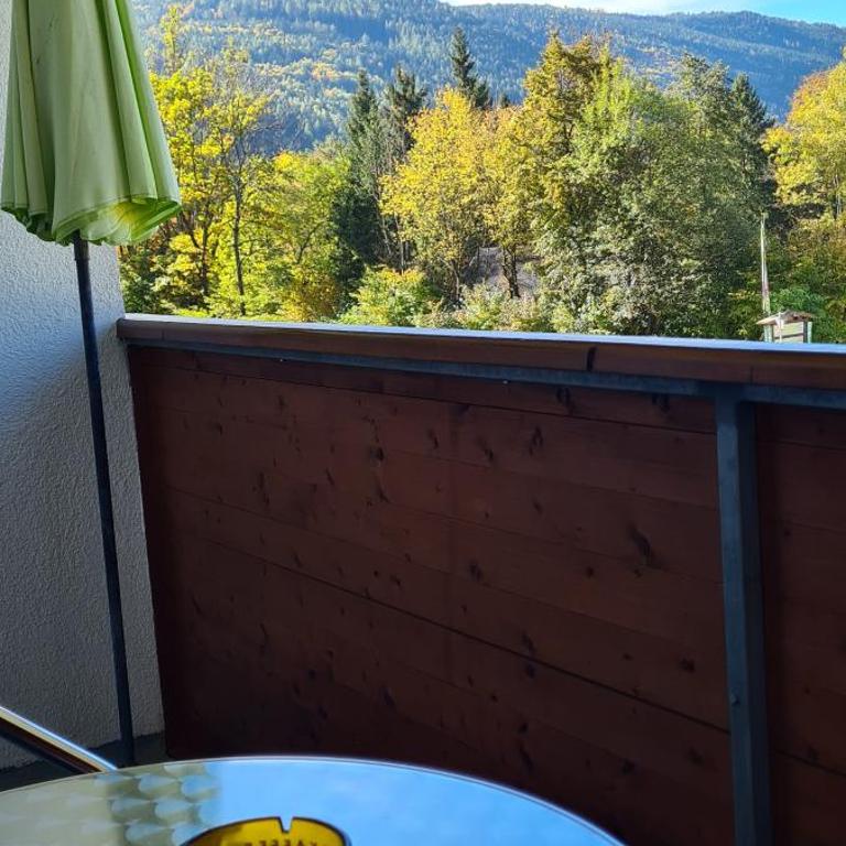 Ferienwohnung Edeltraud, fußläufig zum See und 20 Minuten vom Skigebiet entfernt - Appartement 1 Chambre - 13