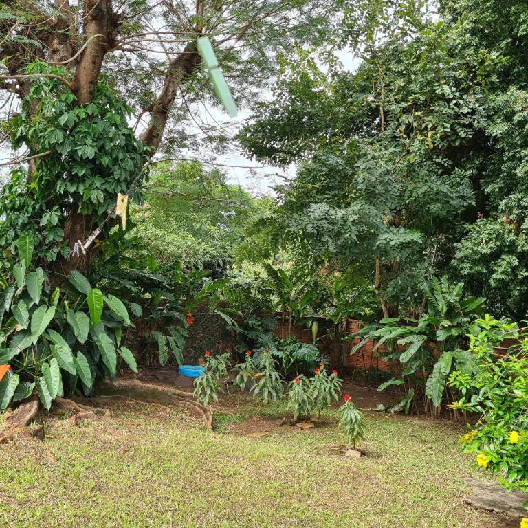 Casa de la Y - B&B - Double Room - 10