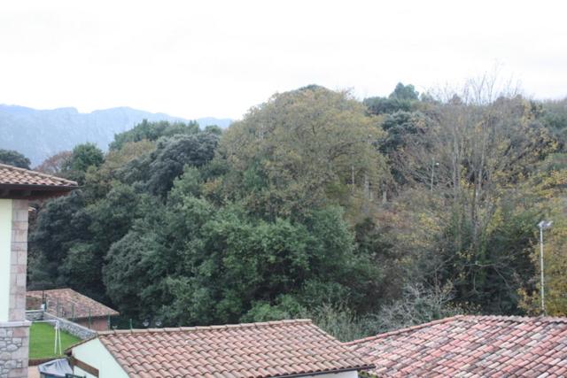 EL JARDÍN DE ALEYDA, VV VACACIONAL - Four-Bedroom House - 9