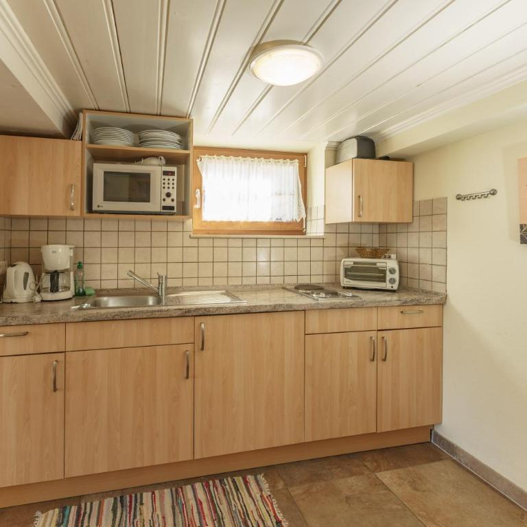 Ski In- Ski Out - Haus Stocker - direkt an der Skipiste by Schladmingurlaub - Apartment mit 1 Schlafzimmer - 12