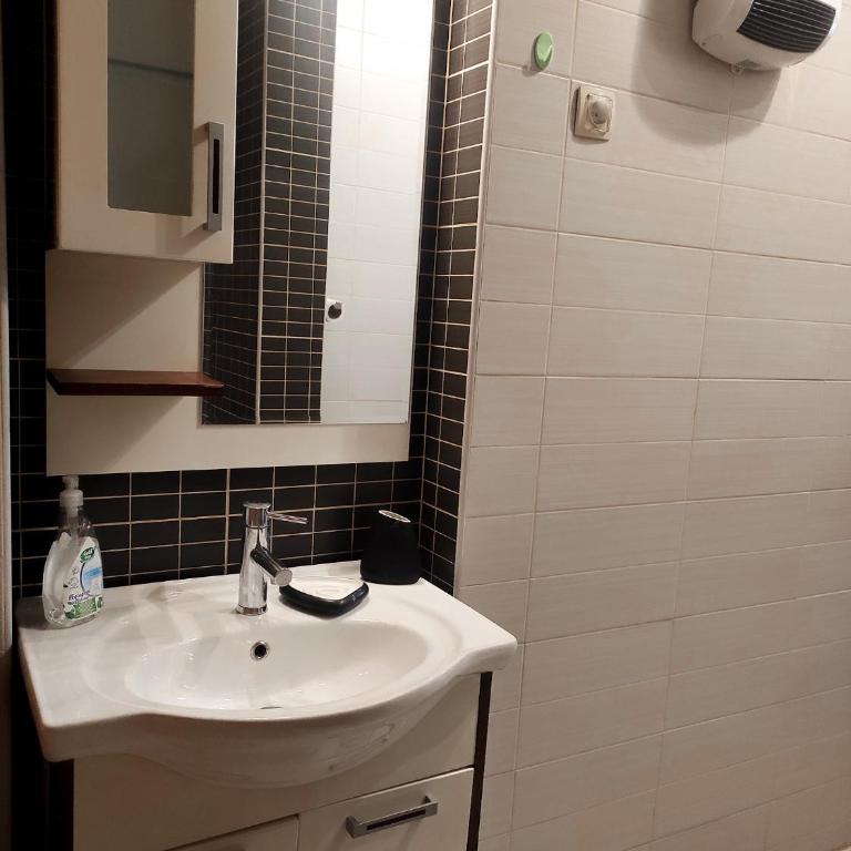 Center 1 Podgorica - Apartman sa 1 Spavaćom Sobom - 9