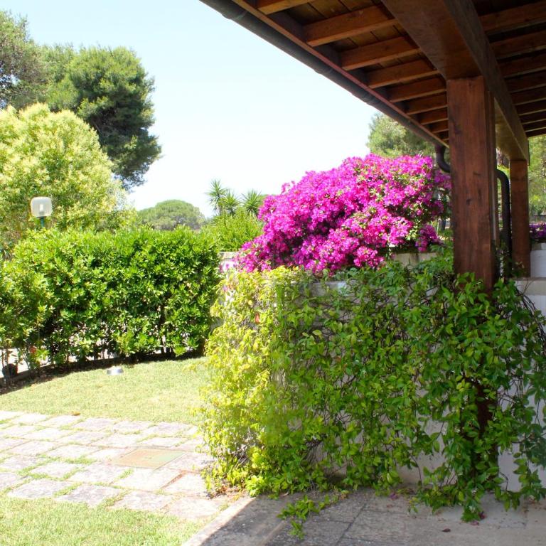 Masseria Fabrizio - Camera Matrimoniale/Doppia con Letti Singoli - 2