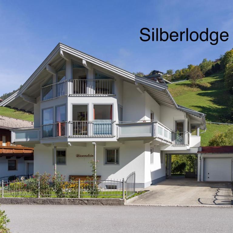 Silber Lodge im Wiesenstein - Apartamento con balcón - 1