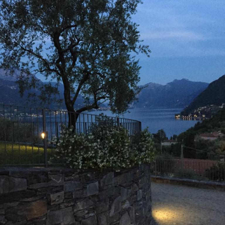 Maison Casa Lavanda - Appartamento - 46