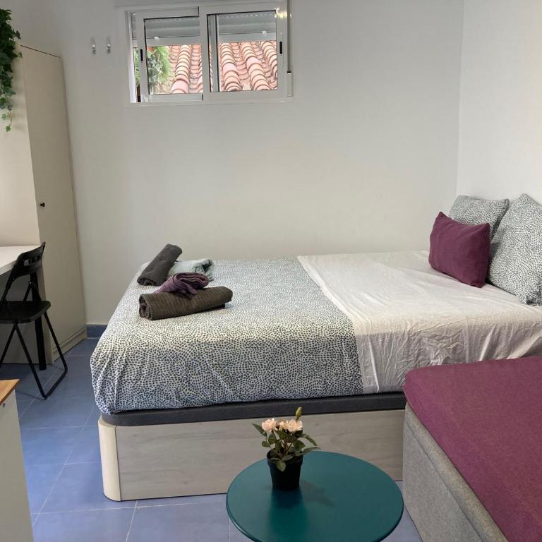 Malagueña Salerosa "Apartamento - estudio con terraza" En casa típica de 1 a 4 dormitorios - Apartamento Estudio con terraza o patio privados - 6