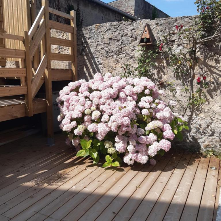 Nature - Gîte entièrement neuf à 100m de la plage - Apartment mit 1 Schlafzimmer - 12
