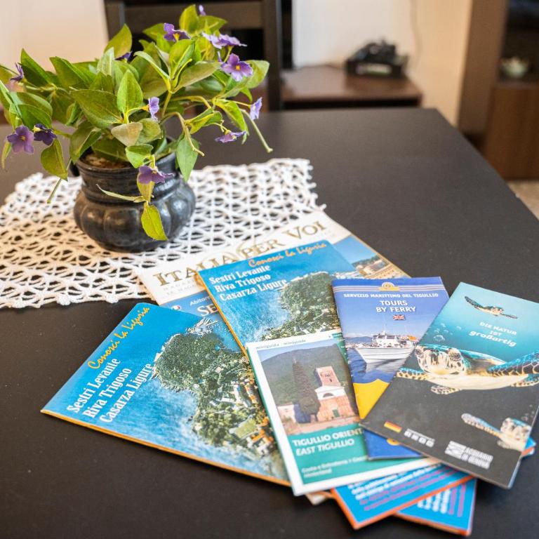007 - Casa Marina fronte mare tra borgo e spiaggia - Appartamento con 1 Camera da Letto - 4