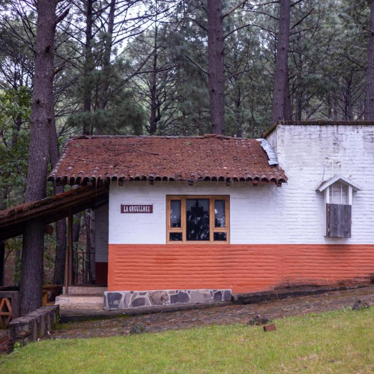 Cabañas RuizSeñor - Casa de campo (4 adultos) - 5
