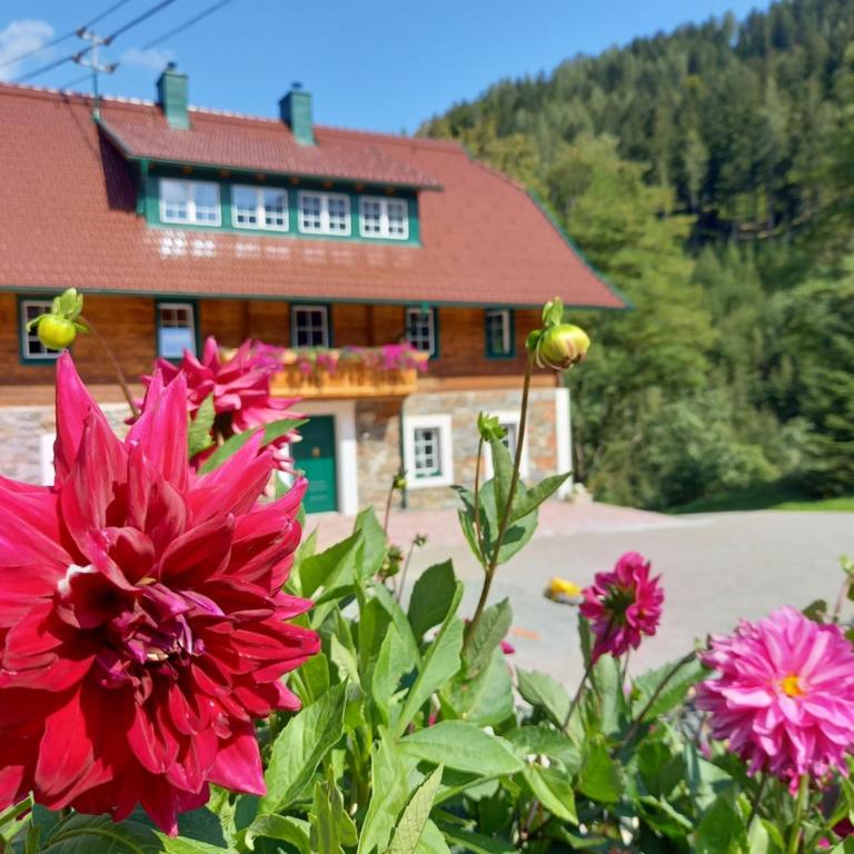 Landhaus Grünjuwel - Apartment mit Terrasse - 19