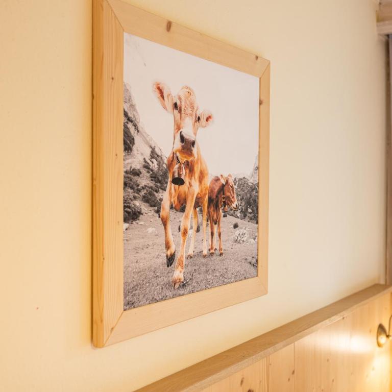 Tauerncamping Apartment - Appartamento con 2 Camere da Letto - 27