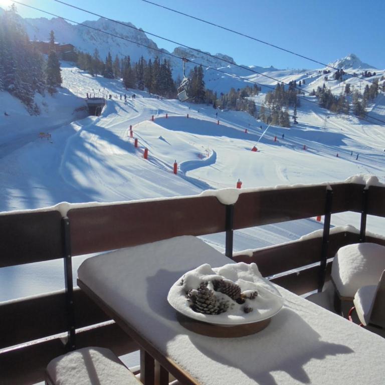 MON SKI A LA PLAGNE - PLAGNE BELLECOTE Résidence 3000 - Appartement 1 Chambre - 18