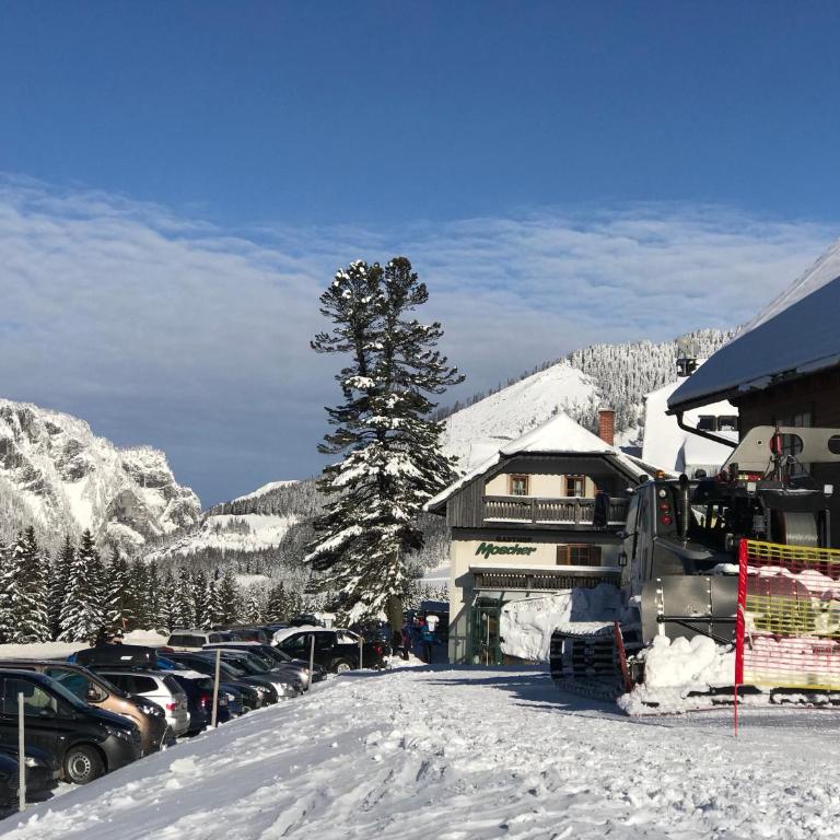 Ferienhaus Sternwarte - Chalet - 56