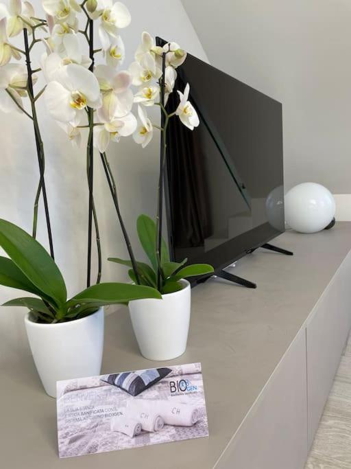 Queen Verona Luxury Apartment - One-Bedroom Apartment - 11