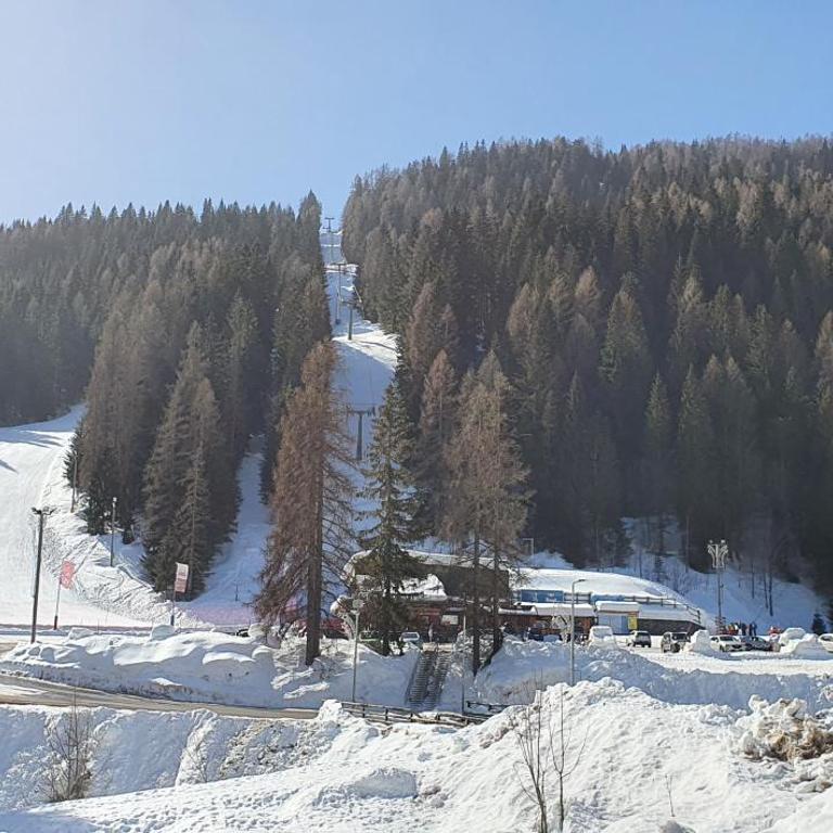 Casa Piva Dolomiti - Casa Vacanze - 12