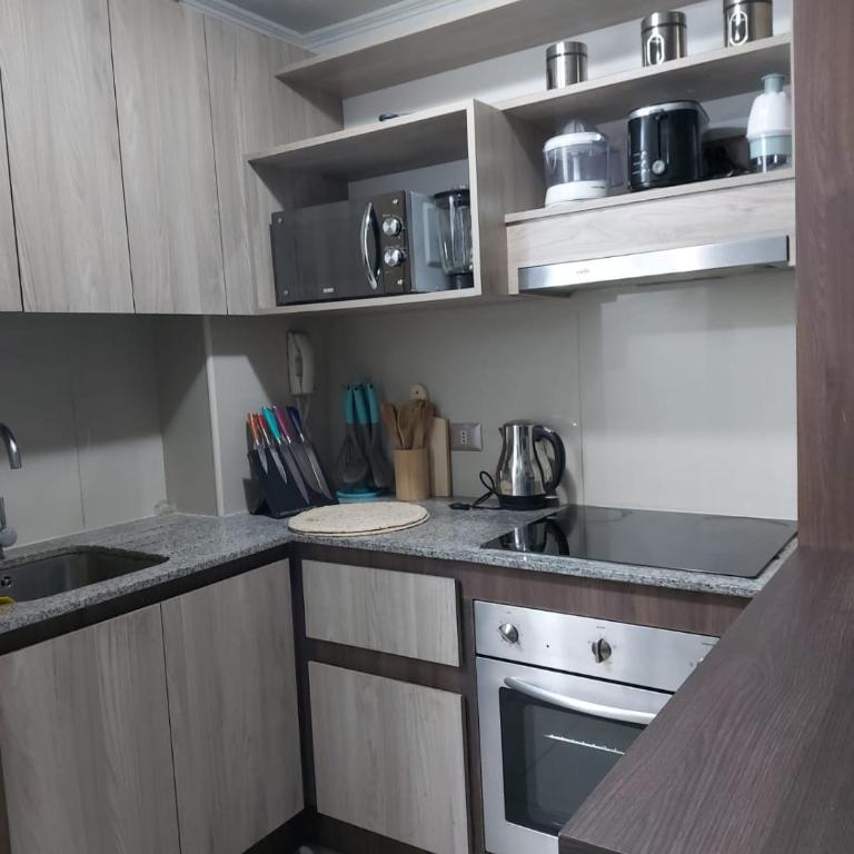 Acogedor Departamento Santiago - One-Bedroom Apartment - 18