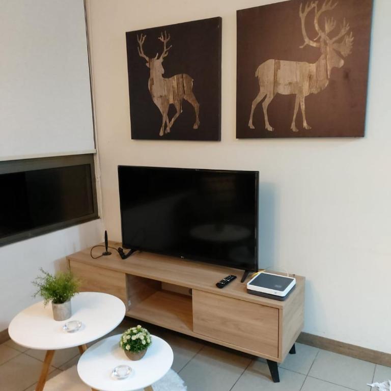 Acogedor Departamento Santiago - One-Bedroom Apartment - 11