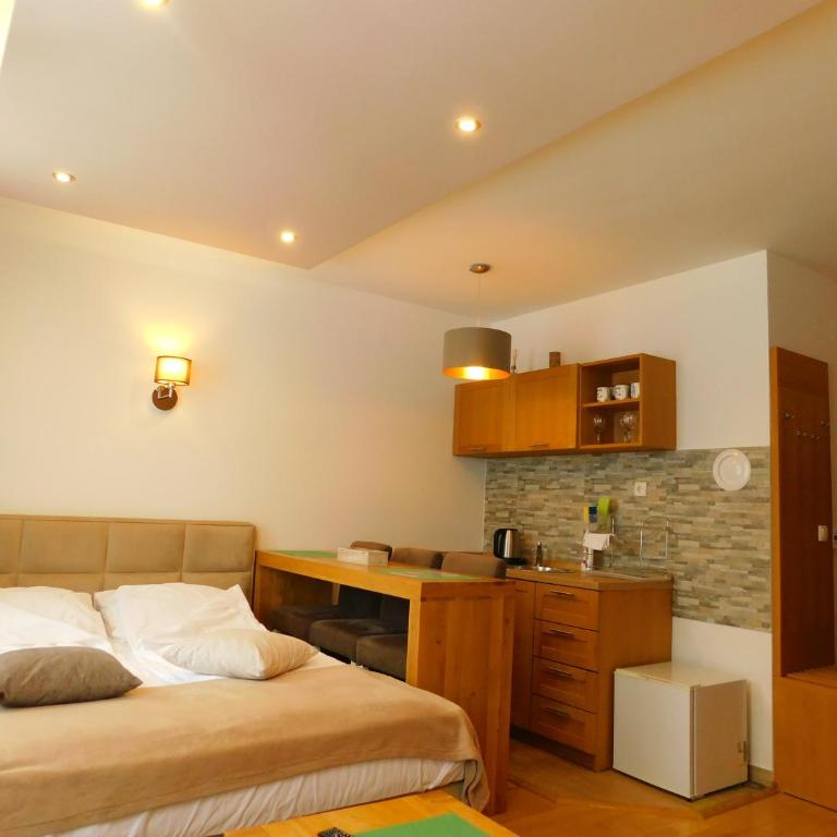 Apartments Rapid - Deluxe Studio - 7