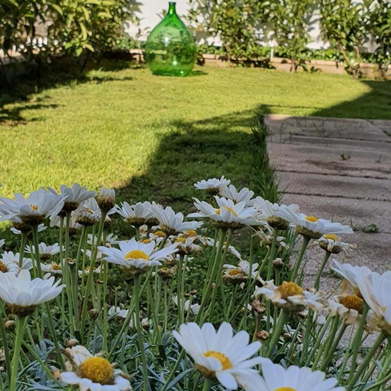 Maison Ligea - Camera King con Vista Giardino - 8