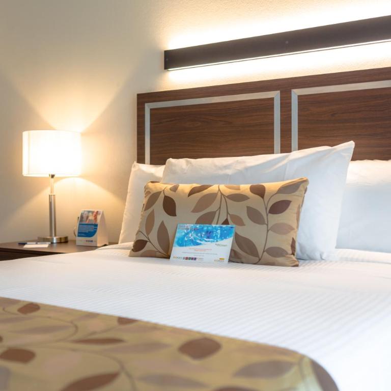 Sleep Inn Guadalajara Galerias - Habitación Estándar con cama grande - No fumadores - 3