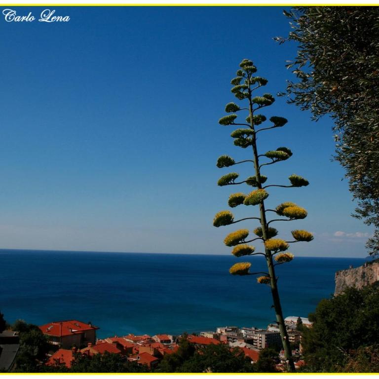 Villa Pierina - Appartamento - Piano Terra - 10