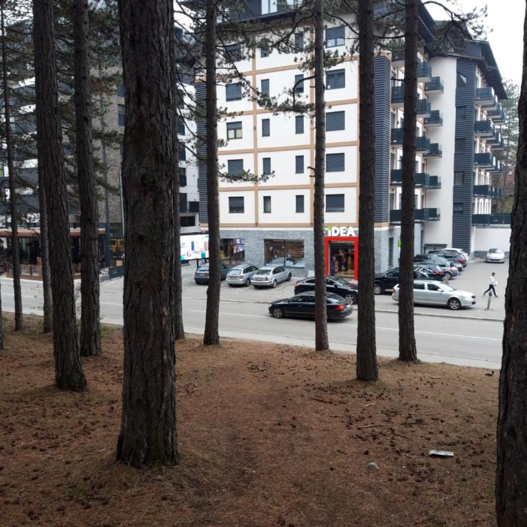 Zlatibor Apartman Oasis - Apartman sa 1 Spavaćom Sobom - 2