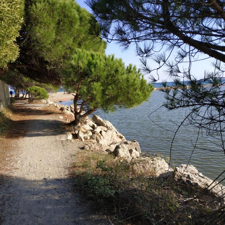 Charmant appartement à 350m de la plage et du port - Apartment mit 1 Schlafzimmer - 20