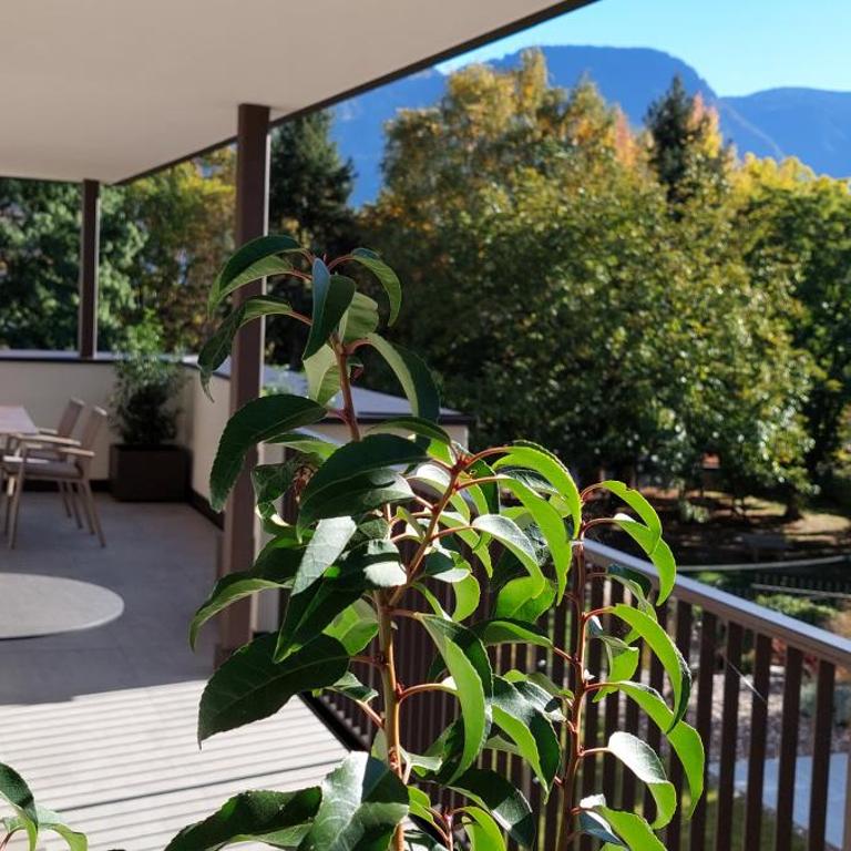 Marlingsuites - Vinea - Wieser Josef - Marling - Appartamento con 2 Camere da Letto - 29