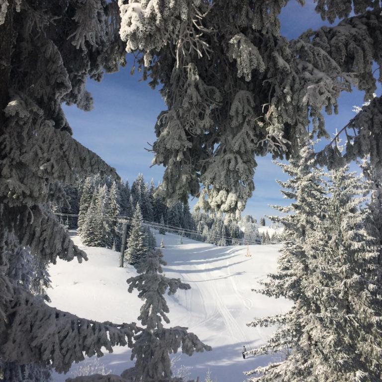 Havana - Two-Bedroom Apartment - 29