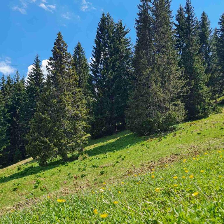 Havana - Apartman sa 2 Spavaće Sobe - 25